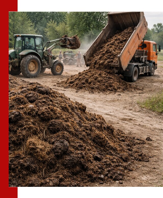 Доставка навоза самосвалами в Тулуне для сельхозпотребностей