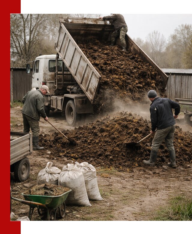 Доставка коровьего навоза самосвалом в Тулуне